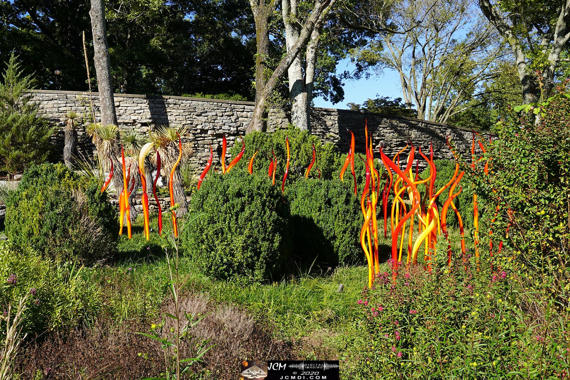 20200930 CheekWood Chihuly - Scarlet curlies